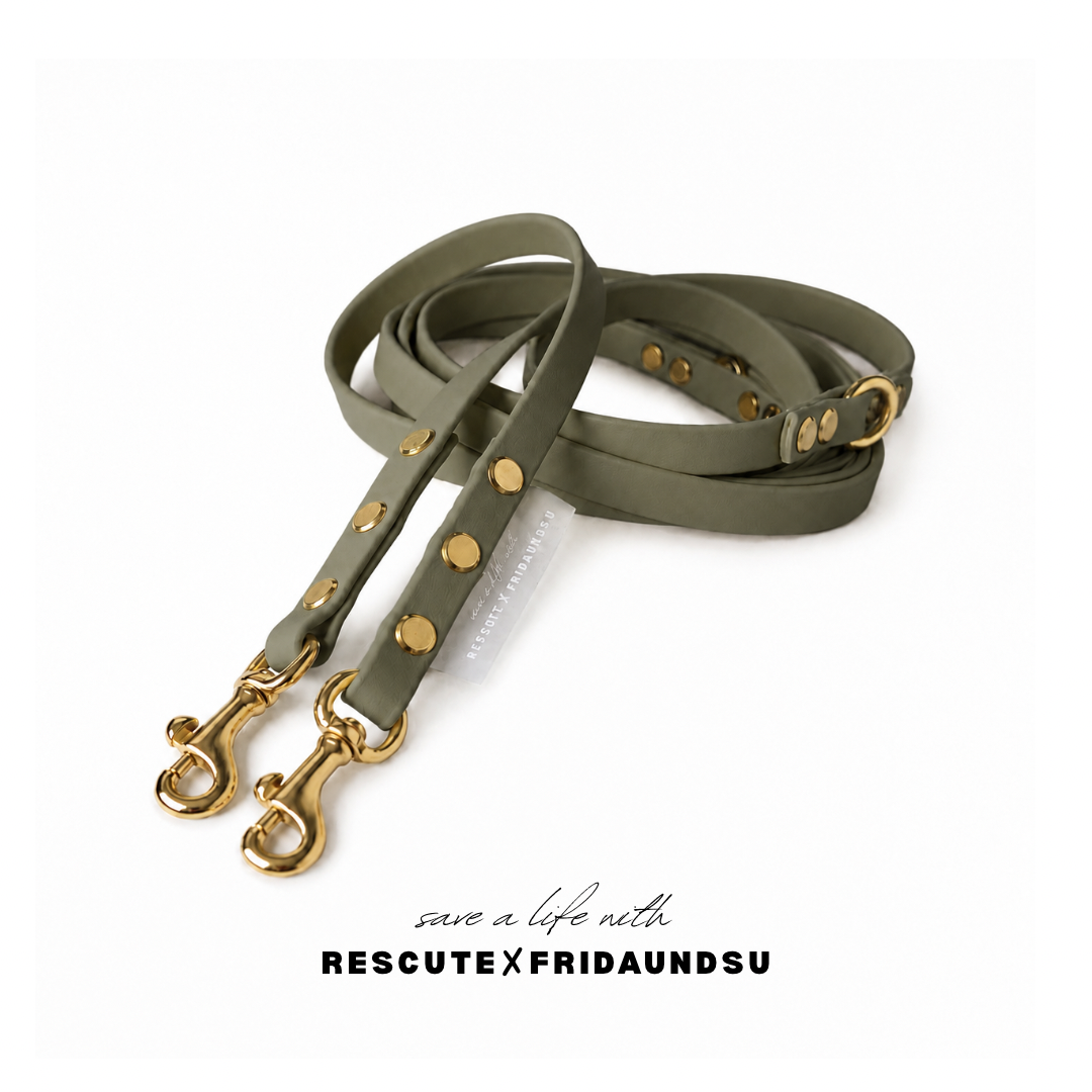 Hundeleine SAM Rescute Edition
