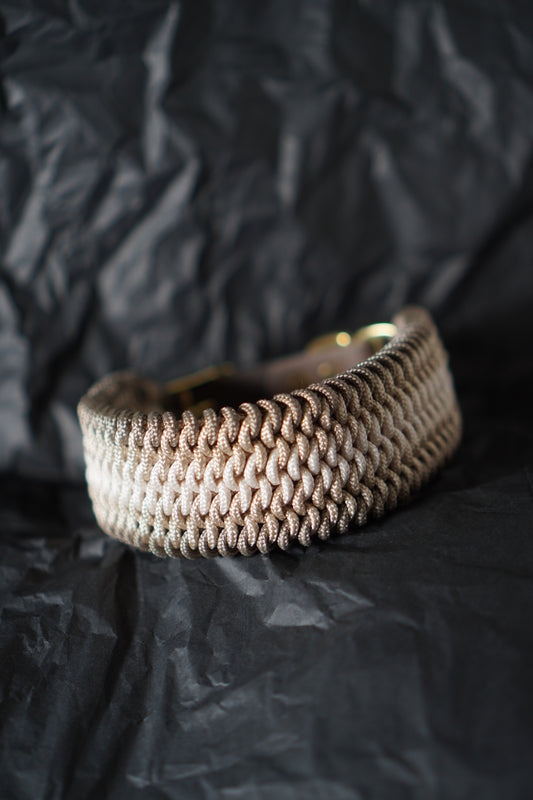 Hundehalsband SU aus Paracord
