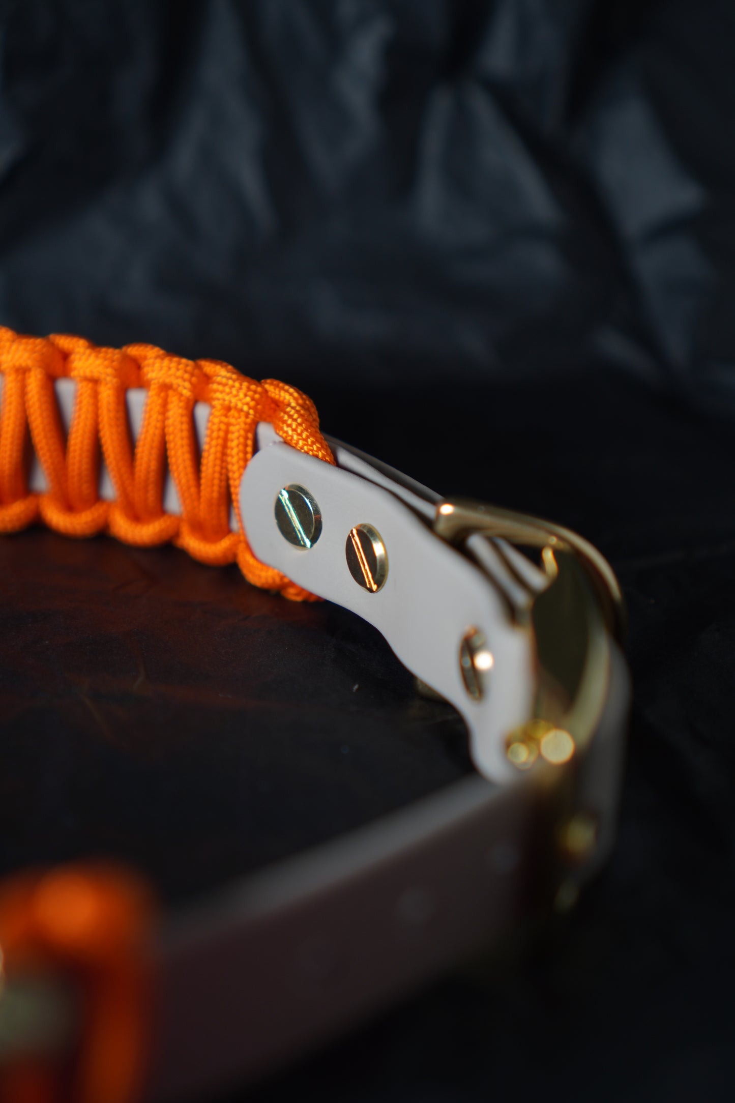 Hundehalsband DANA aus Biothane und Paracord