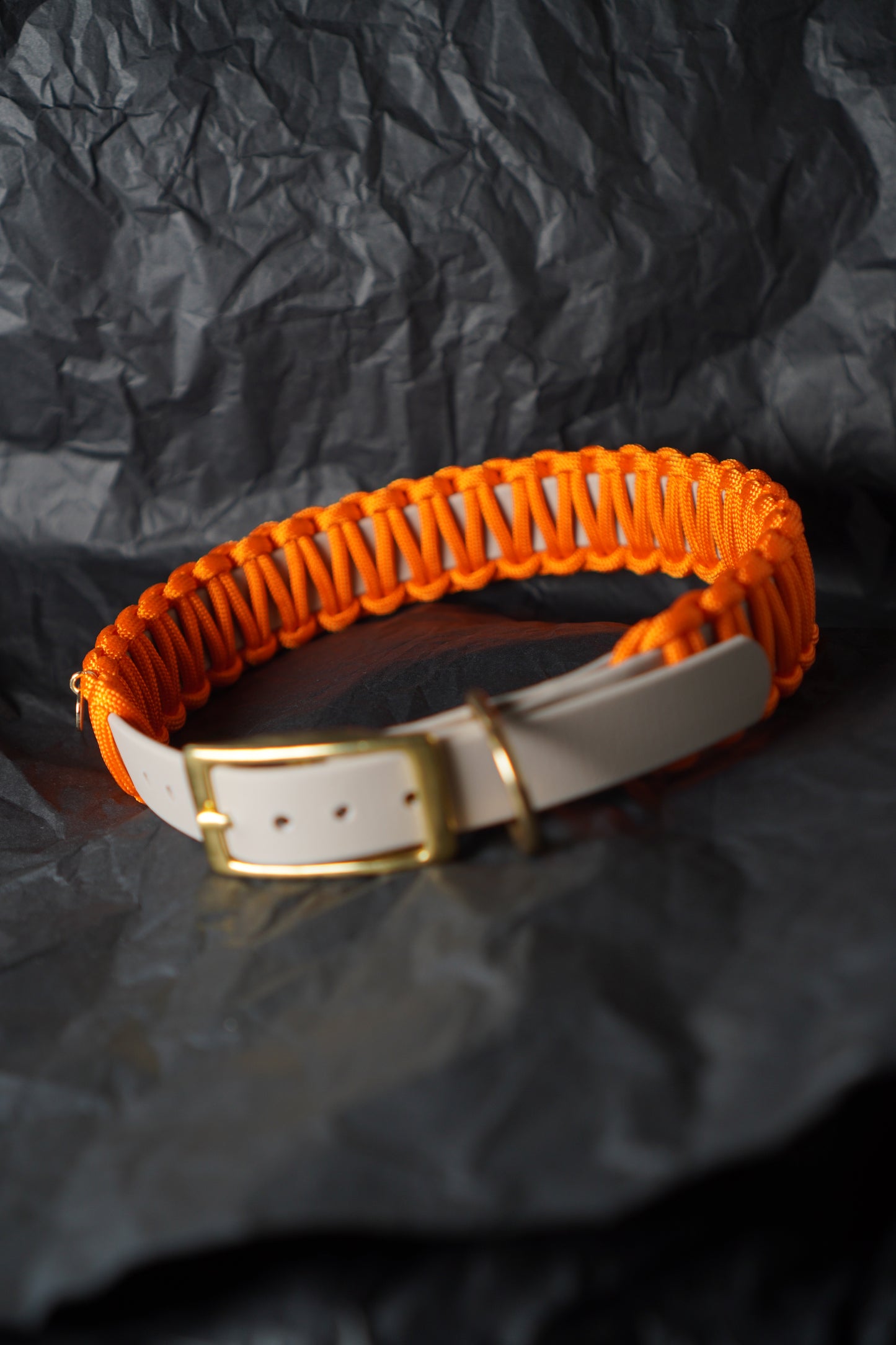 Hundehalsband DANA aus Biothane und Paracord