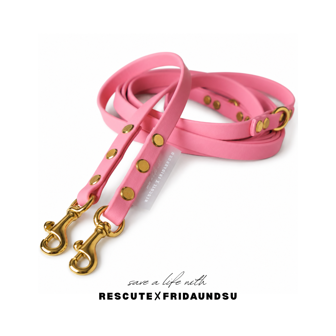 Hundeleine SAM Rescute Edition