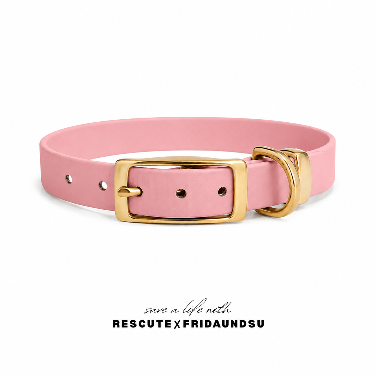 Hundehalsband LARA Rescute Edition