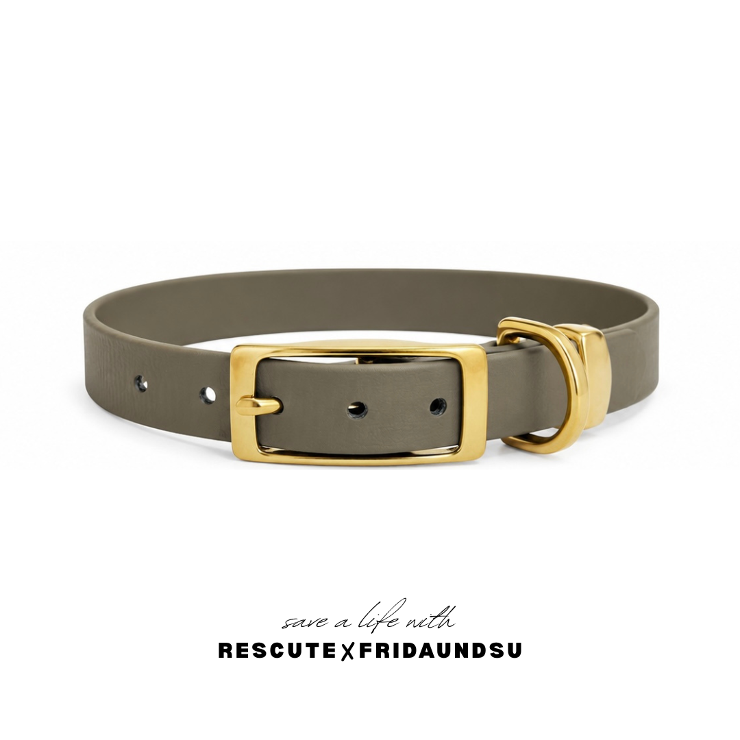 Hundehalsband LARA Rescute Edition