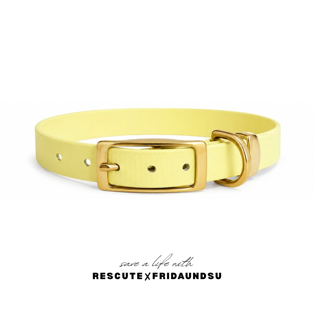 Hundehalsband LARA Rescute Edition