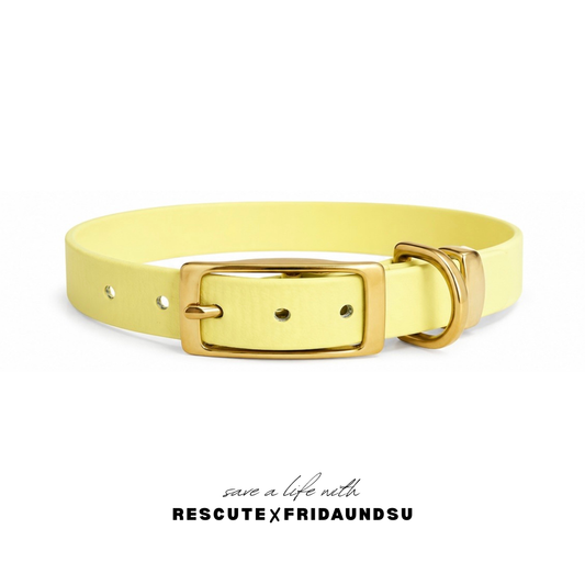 Hundehalsband LARA Rescute Edition