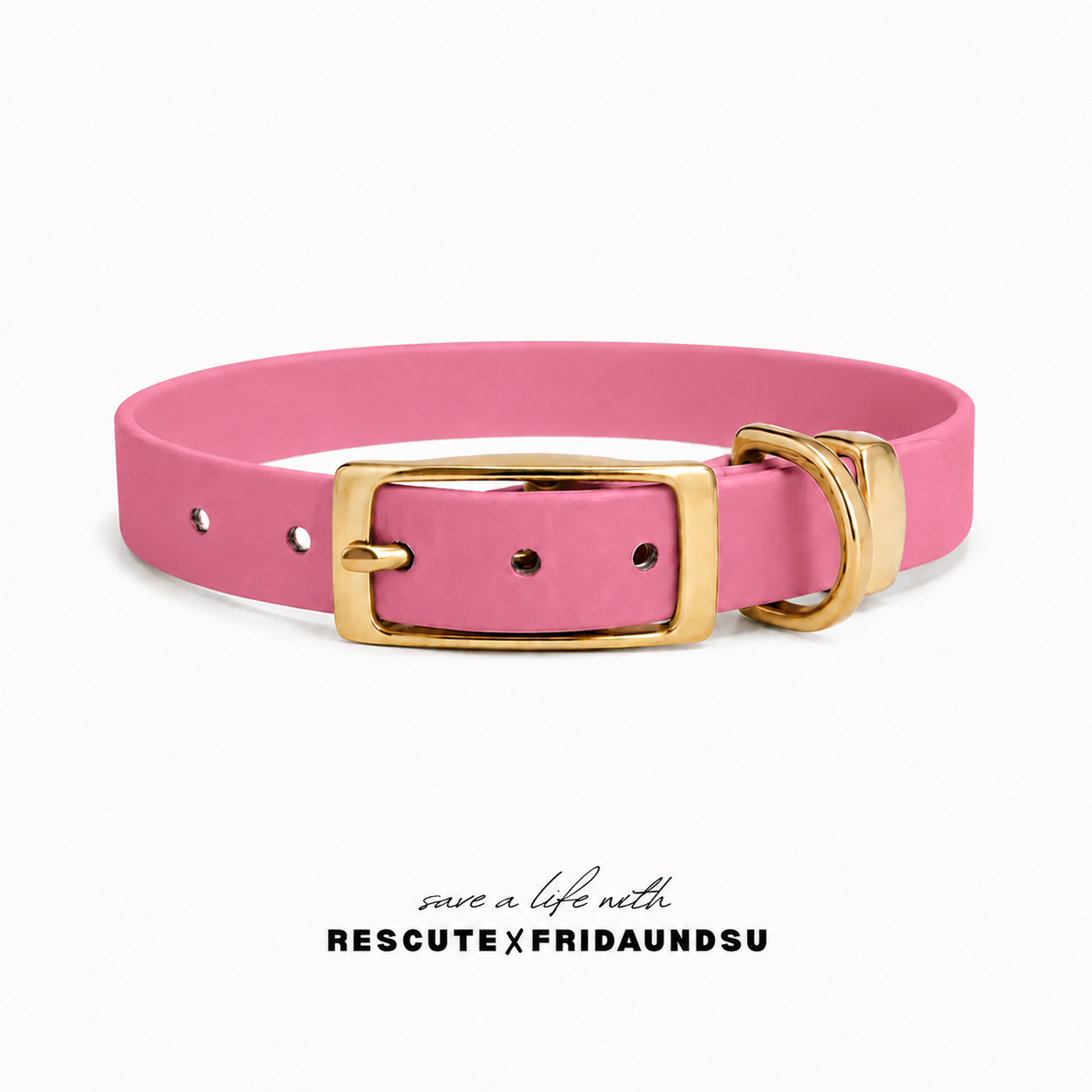 Hundehalsband LARA Rescute Edition