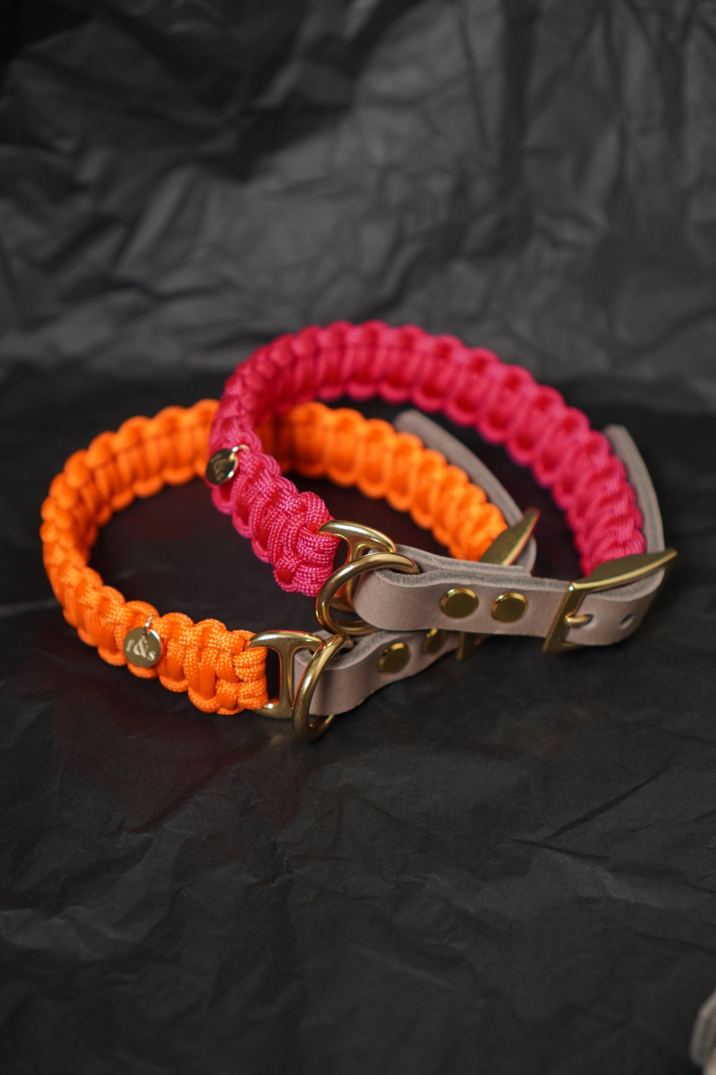 Hundehalsband LOU aus Paracord