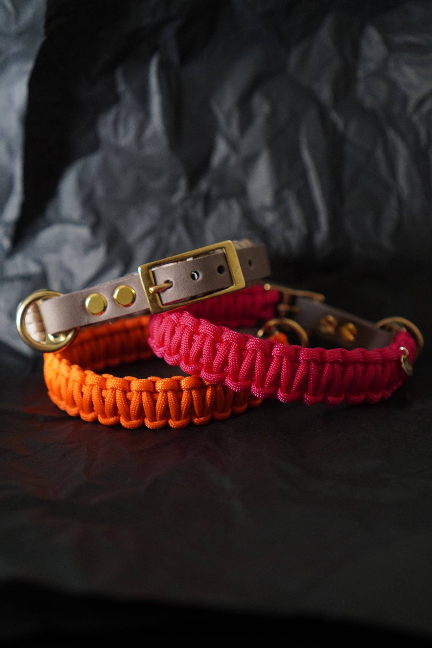 Hundehalsband LOU aus Paracord