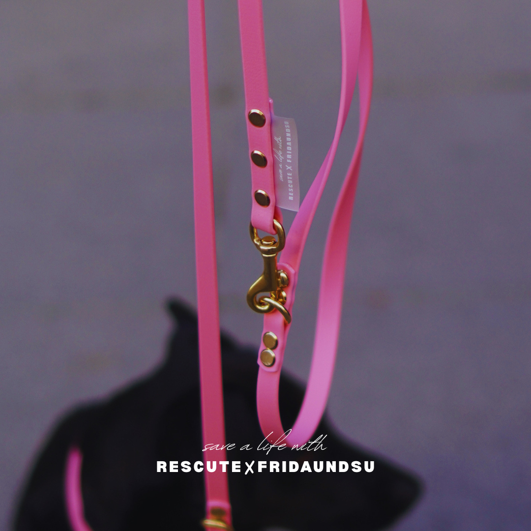 Hundeleine SAM Rescute Edition