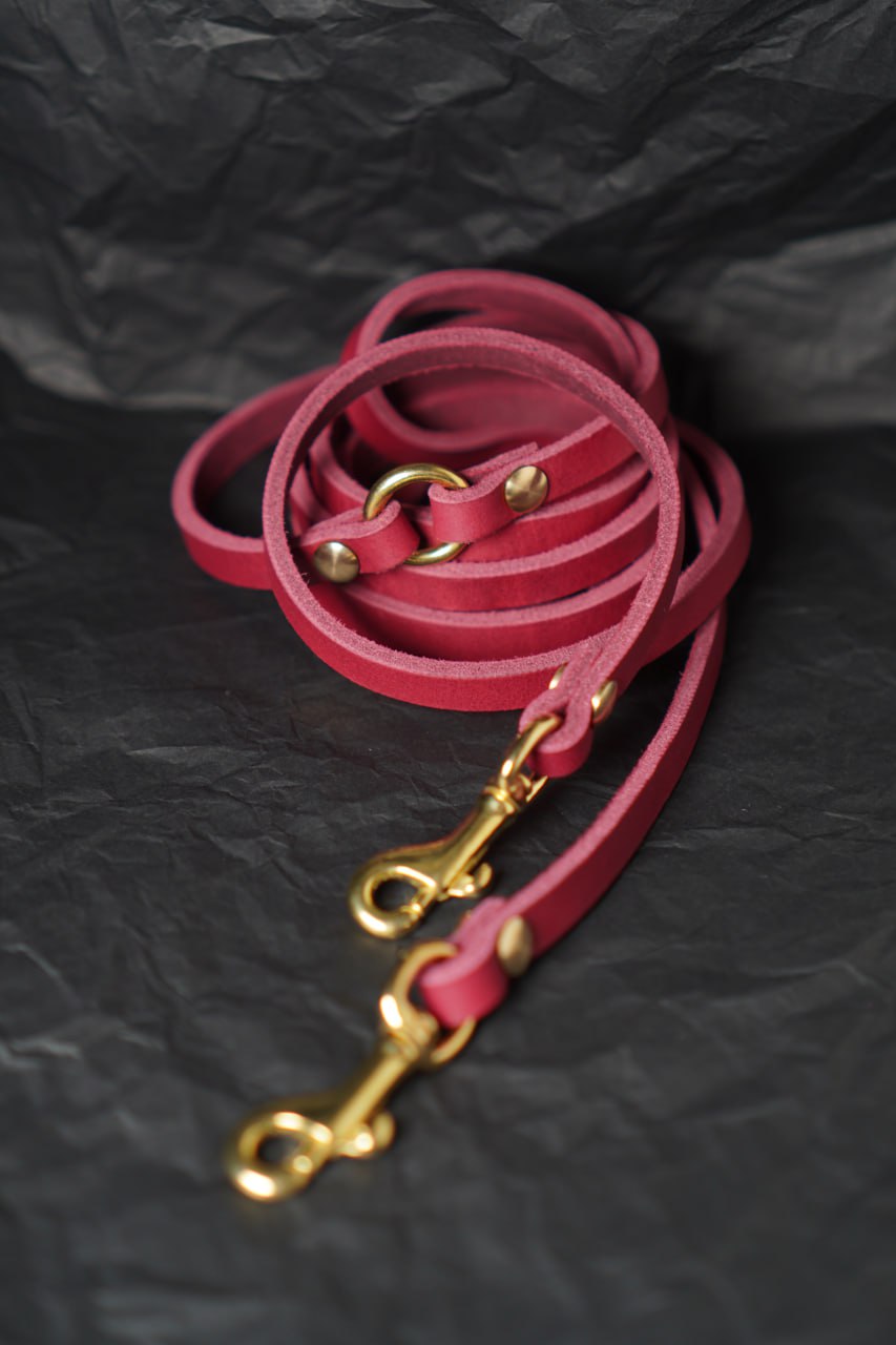 Hundeleine JASPER aus Leder