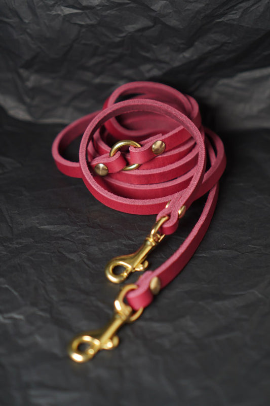 Hundeleine JASPER aus Leder